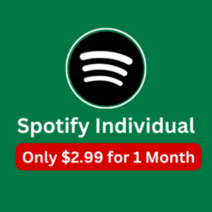 Spotify Premium Individual Price 1 Month